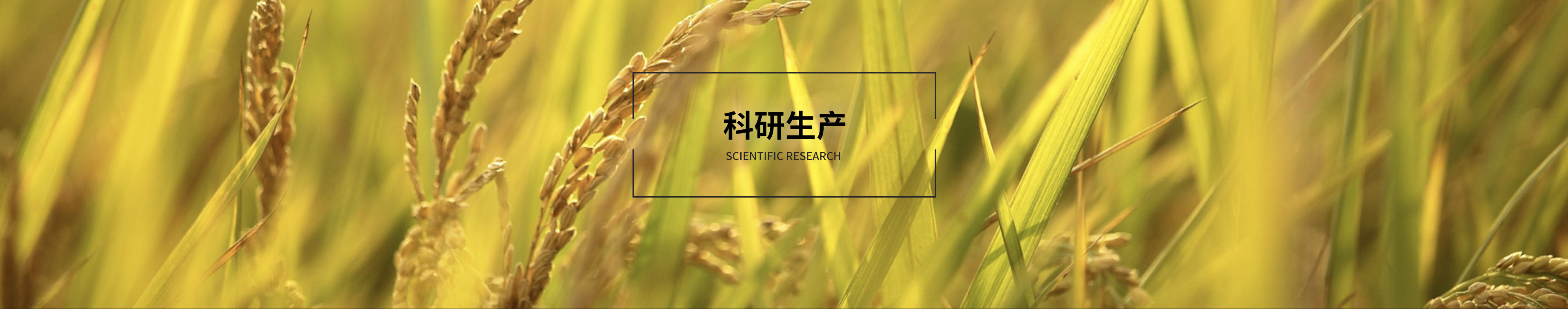 科研生产