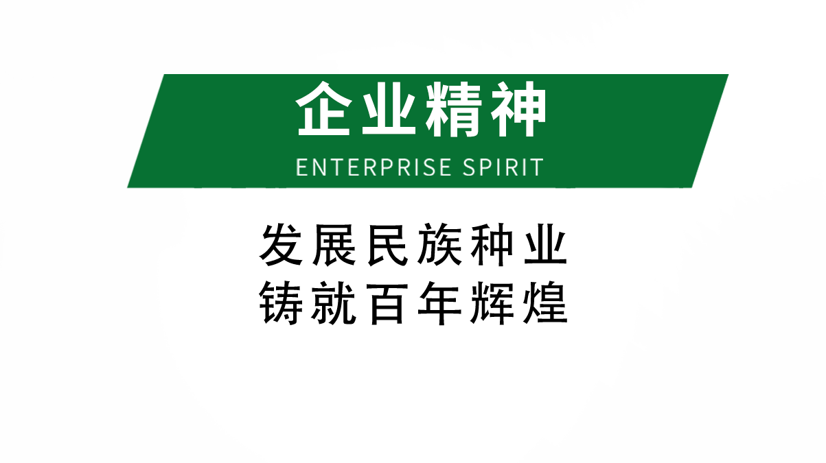 企业精神