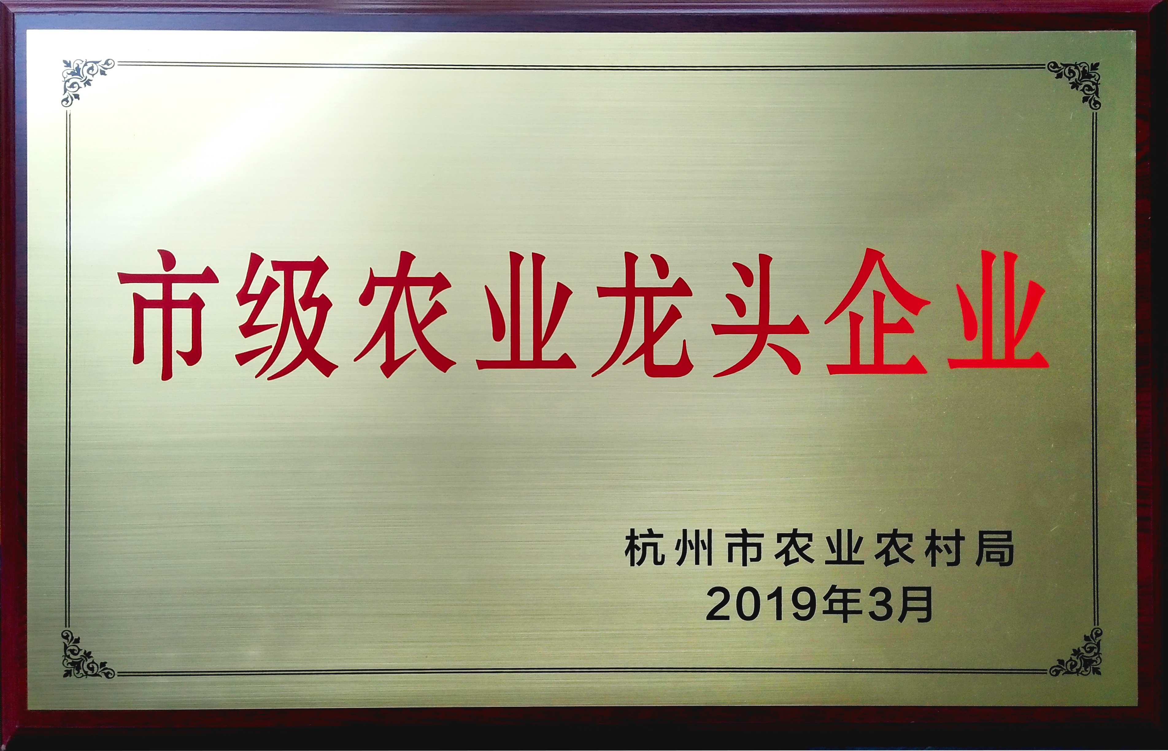 杭州市级龙头企业(2019)
