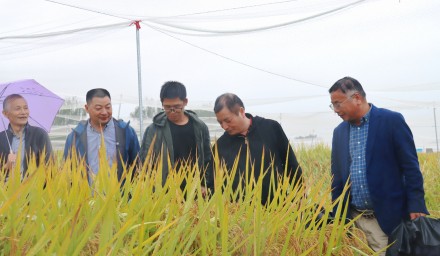 浙江省农科院院长林福呈莅临集团基地调研指导