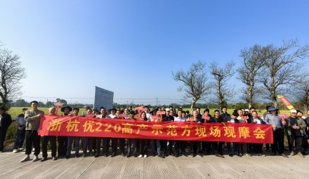 以禾为鉴，选种增收 | 杭种集团“浙杭优”系列杂交稻绘就丰收盛景