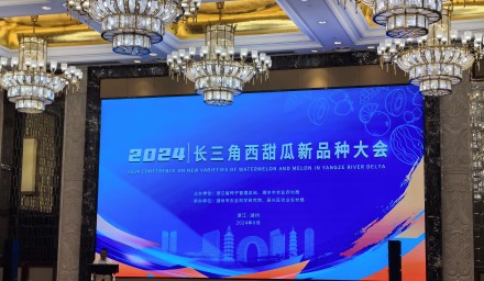 喜报：集团品种 ‘浙甜105’ ‘兰芯’再获嘉奖！