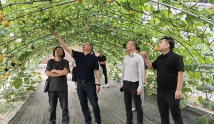 中商（浙江）现代农业、瑞安市农业农村局与杭州种业集团深化合作交流