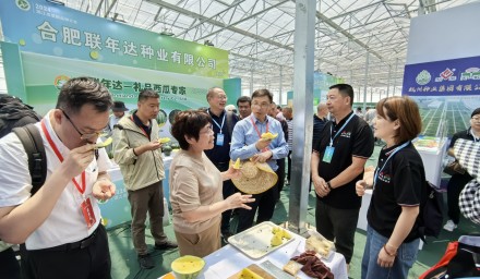 杭种“芯”动力，点亮2024浙江瓜菜新品种大会