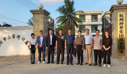 浙江省农科院副院长李国景一行莅临杭州种业集团南繁基地调研指导