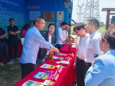 杭州种业集团 | 非转基因抗除草剂油菜“宁R101”，赋能实现油菜产业绿色变革