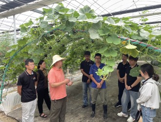 弘扬建党精神 赓续红色血脉 | 杭州种业集团开展“七个一”系列活动献礼建党104周年