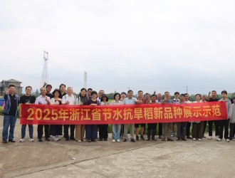 “旱”葆丰收，“稻”显担当 | 杭州种业集团举办节水抗旱稻新品种观摩会